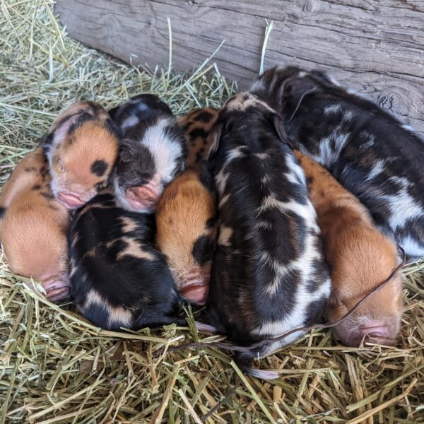 PXL 20220325 005807140 scaled