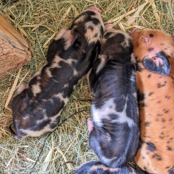 PXL 20220325 174650011 scaled