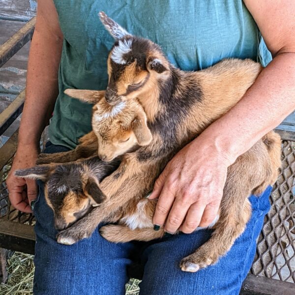 PXL 20220320 231332115 scaled