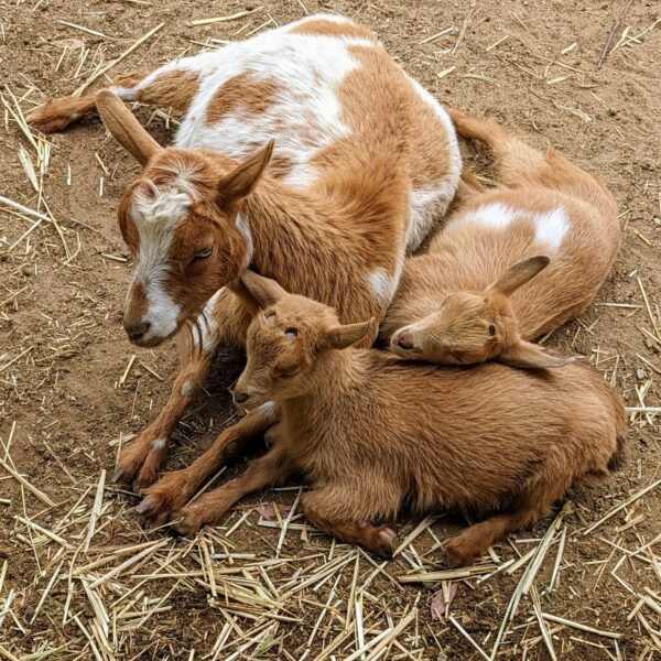 PXL 20220416 204337347.MP