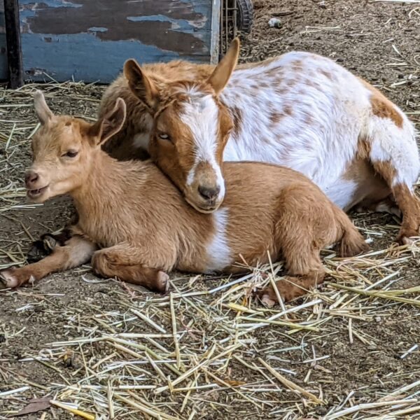 PXL 20220419 192530920 scaled