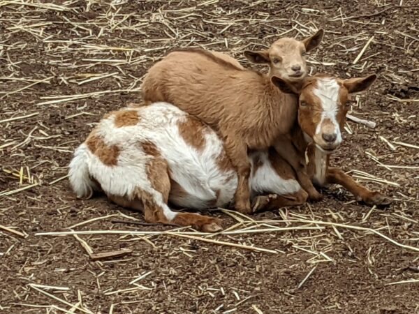 PXL 20220422 182349228 scaled