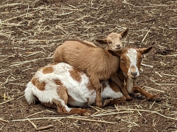 PXL 20220422 182358719.MP scaled