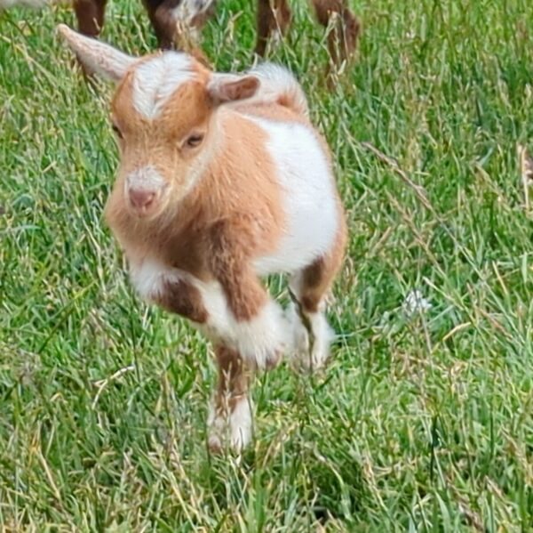 PXL 20230506 0013076292