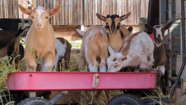 PXL 20240330 170627161 scaled