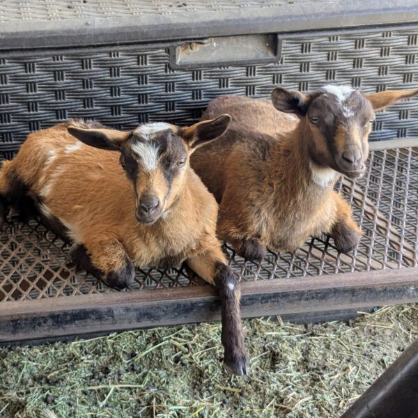 PXL 20250522 203328397.MP